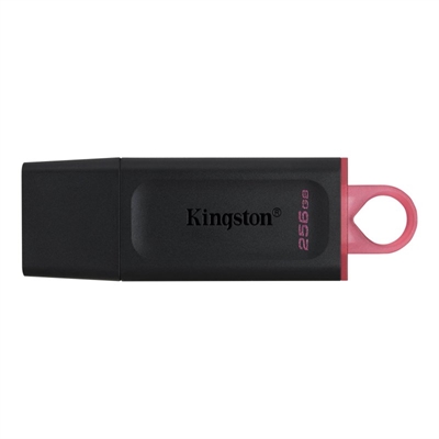 Kingston Datatraveler Dtx 256gb Usb 3 2 Gen1 Negro